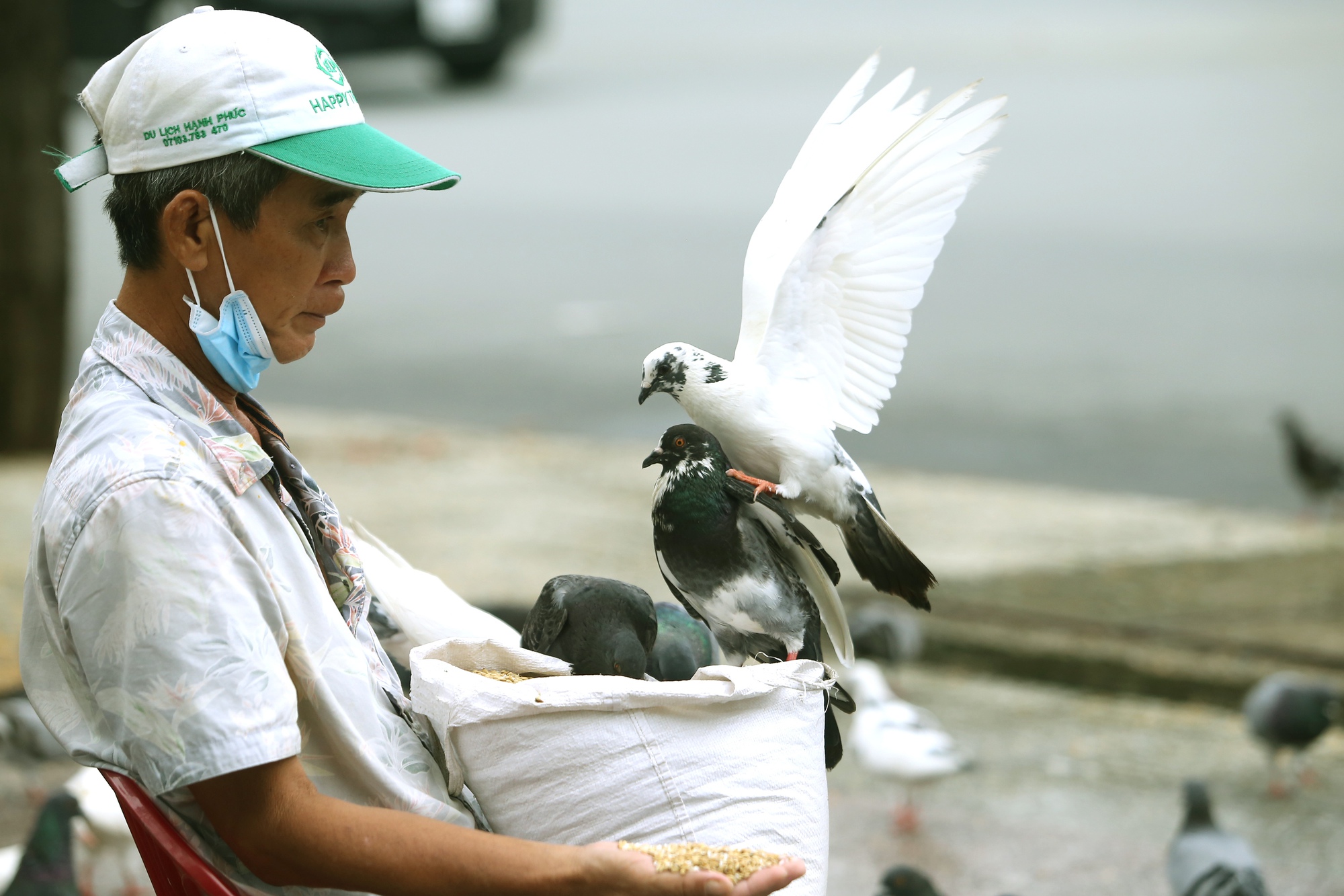 &quot;Ông bụt&quot; của đàn chim trời - Ảnh 1.