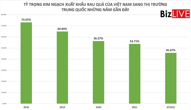Giảm dần ở Trung Quốc, rau quả Việt Nam tăng sang Mỹ - Ảnh 3.