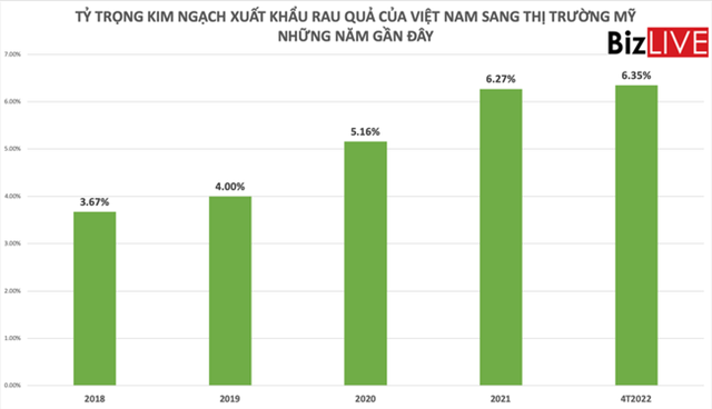 Giảm dần ở Trung Quốc, rau quả Việt Nam tăng sang Mỹ - Ảnh 5.