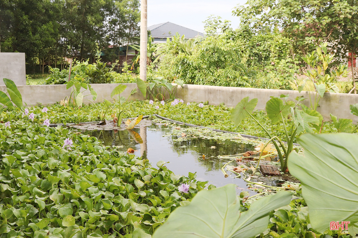 Tỷ phú nông dân ở Hà Tĩnh từng nghèo khó, nay giàu có nhờ nuôi lươn đồng, cua đồng, ốc bươu đen đặc sản - Ảnh 9.