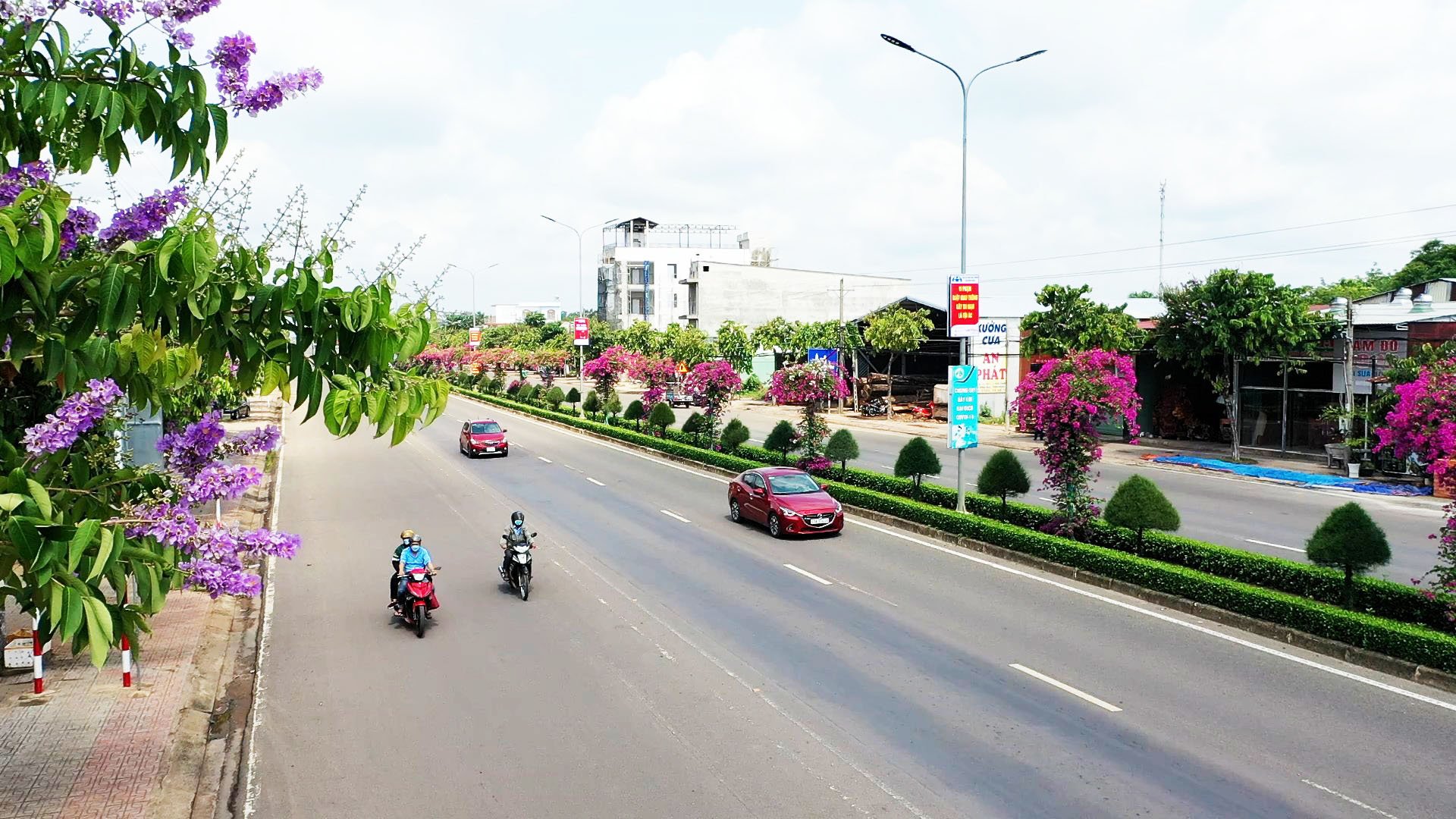 Con đường trồng hoa giấy tuôn bông như suối ở Bình Phước đẹp như phim, hút hồn người xa kẻ gần - Ảnh 1.
