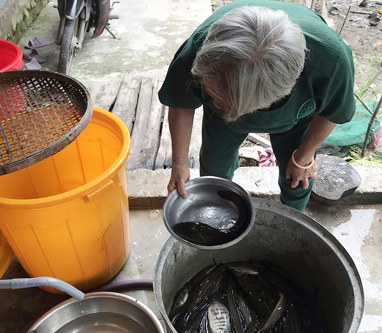 Đào mương trong vườn cây ăn trái, vừa trữ nước vừa nuôi cá đồng, bắt được con nào nhiều người tranh nhau mua - Ảnh 2.