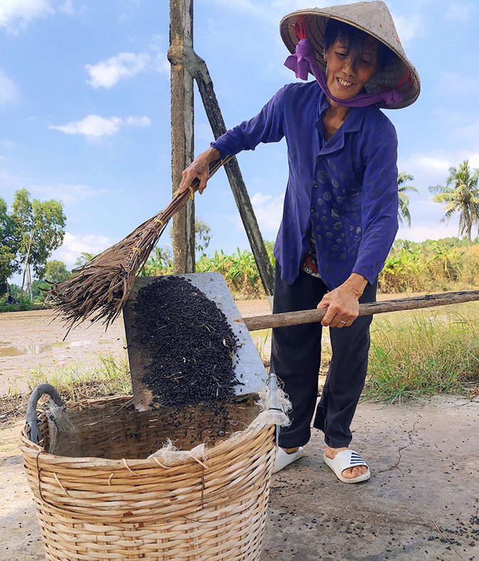 Nuôi loài thú biết bay chả thấy cho ăn bao giờ, ấy thế mà ông nông dân Kiên Giang ngày nào cũng nhặt được tiền - Ảnh 2.