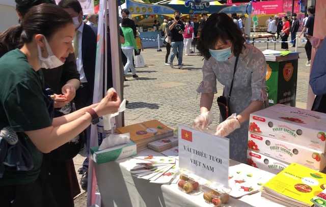 Những trái vải tươi lần đầu xuất hiện tại &quot;Lễ hội Việt Nam&quot; tại Tokyo, Nhật Bản - Ảnh 2.