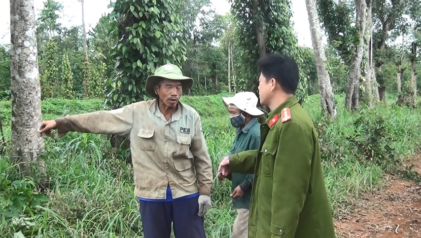 Đắk Lắk: Truy tố 5 đối tượng cưa hạ gỗ trái phép rồi chống người thi hành công vụ - Ảnh 1.