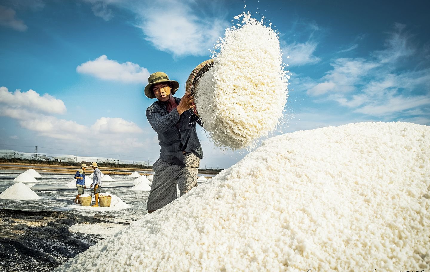Bộ trưởng Lê Minh Hoan gợi ý làm du lịch, mỹ phẩm từ thứ hạt nhà nào cũng dùng trong bữa ăn - Ảnh 1.