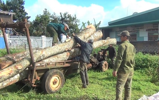 Đắk Lắk: Truy tố 5 đối tượng cưa hạ gỗ trái phép rồi chống người thi hành công vụ - Ảnh 2.