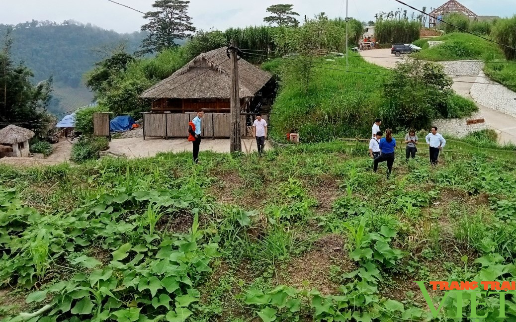 Trồng su su chuyên canh lấy ngọn trái vụ, hướng đi mới ở vùng cao Lào Cai - Ảnh 3. Trồng su su chuyên canh lấy ngọn trái vụ, hướng đi mới ở vùng cao Lào Cai - Ảnh 3.