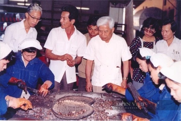 Từ lon hạt điều của ông Phạm Hùng, Việt Nam có ngành xuất khẩu điều hàng đầu thế giới. - Ảnh 2.