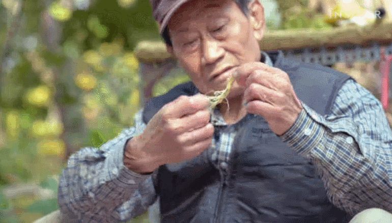 Loại củ kỳ lạ càng nhiều &quot;sẹo&quot; càng đắt giá, giá hàng trăm triệu đồng mà khách vẫn muốn mua bằng được - Ảnh 4.