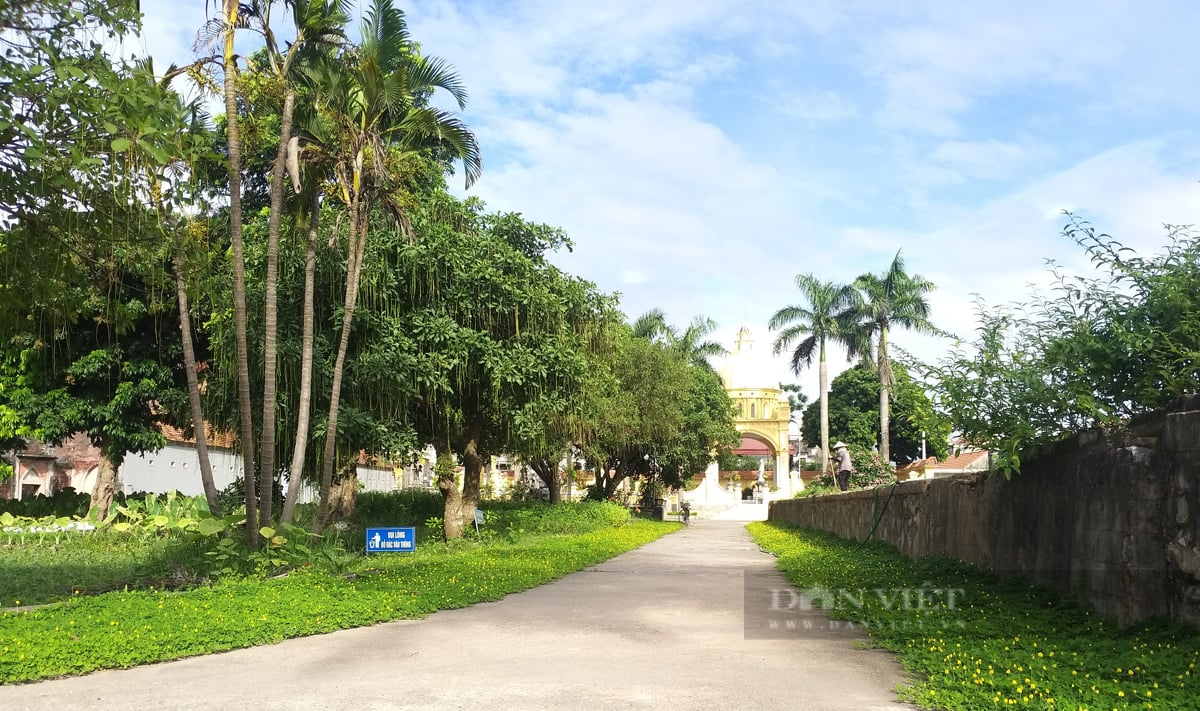 Khám phá Vương cung thánh đường Sở Kiện (bài 1): Chiếc nôi nuôi nấng hai thánh từ đạo, nơi cất giữ nhiều di tích thánh - Ảnh 14.