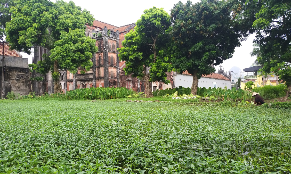 Khám phá Vương cung thánh đường Sở Kiện (bài 1): Chiếc nôi nuôi nấng hai thánh từ đạo, nơi cất giữ nhiều di tích thánh - Ảnh 15.