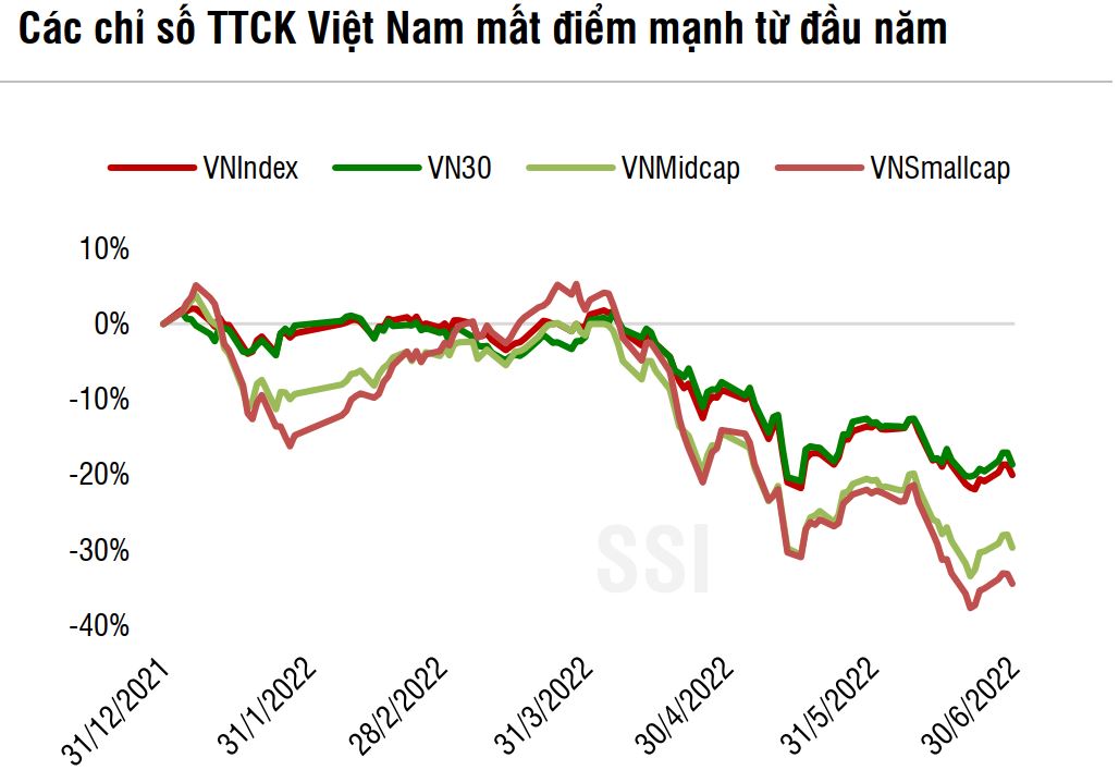 Chứng khoán sẽ phục hồi vào cuối năm?  - Ảnh 1.