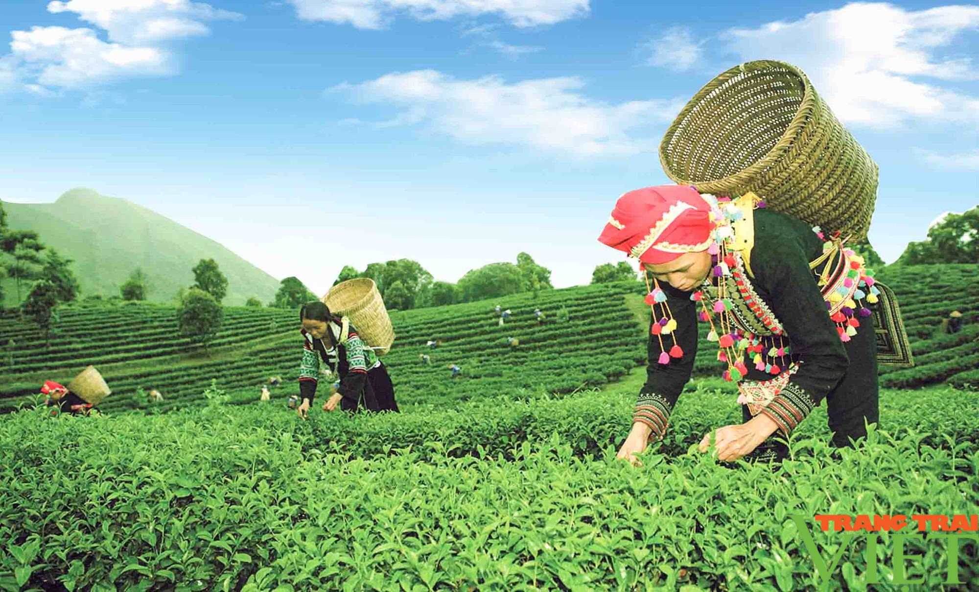 Bản Bo quyết tâm nâng cao các tiêu chí, phấn đấu đạt chuẩn nông thôn kiểu mới - Ảnh 4. Bản Bo quyết tâm nâng cao các tiêu chí, phấn đấu đạt chuẩn nông thôn kiểu mới - Ảnh 4.