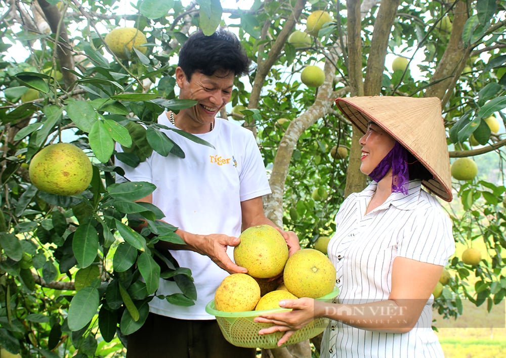 Sản phẩm OCOP tạo “làn gió mới” cho phát triển du lịch nông thôn ở Phú Thọ - Ảnh 5.
