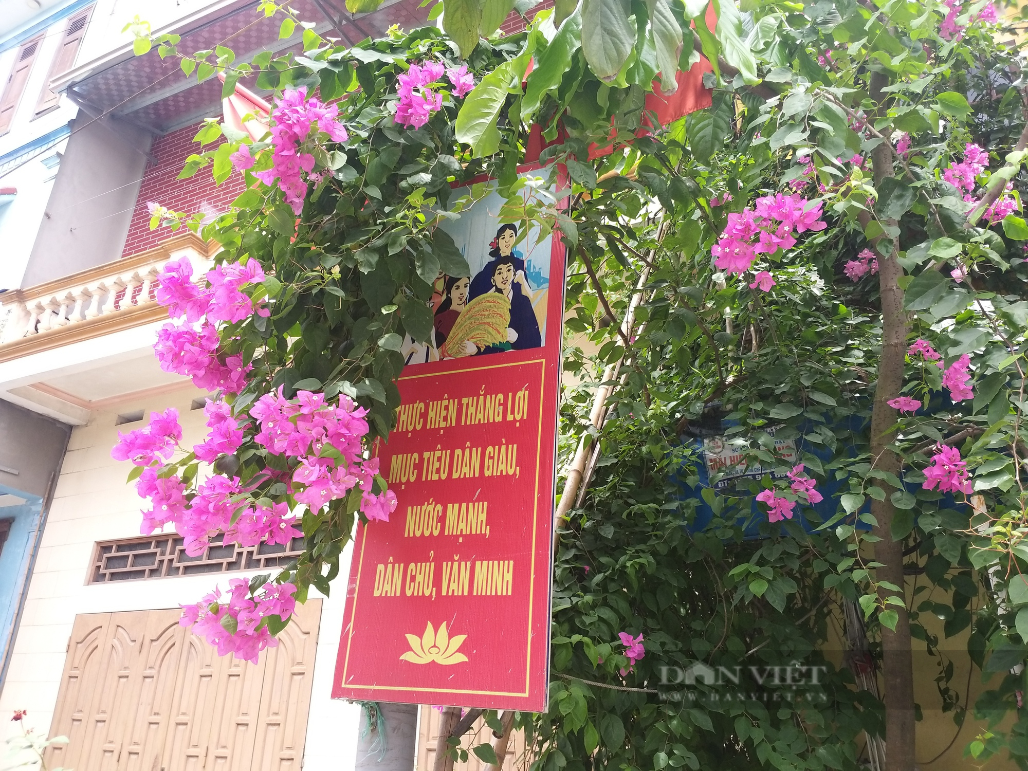 Vương cung thánh đường Sở Kiện (bài 2): Giáo dân sống tốt đời đẹp đạo, đoàn kết, thương yêu nhau - Ảnh 3.