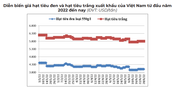 Giá hạt tiêu ảm đạm đến bao giờ? - Ảnh 1.