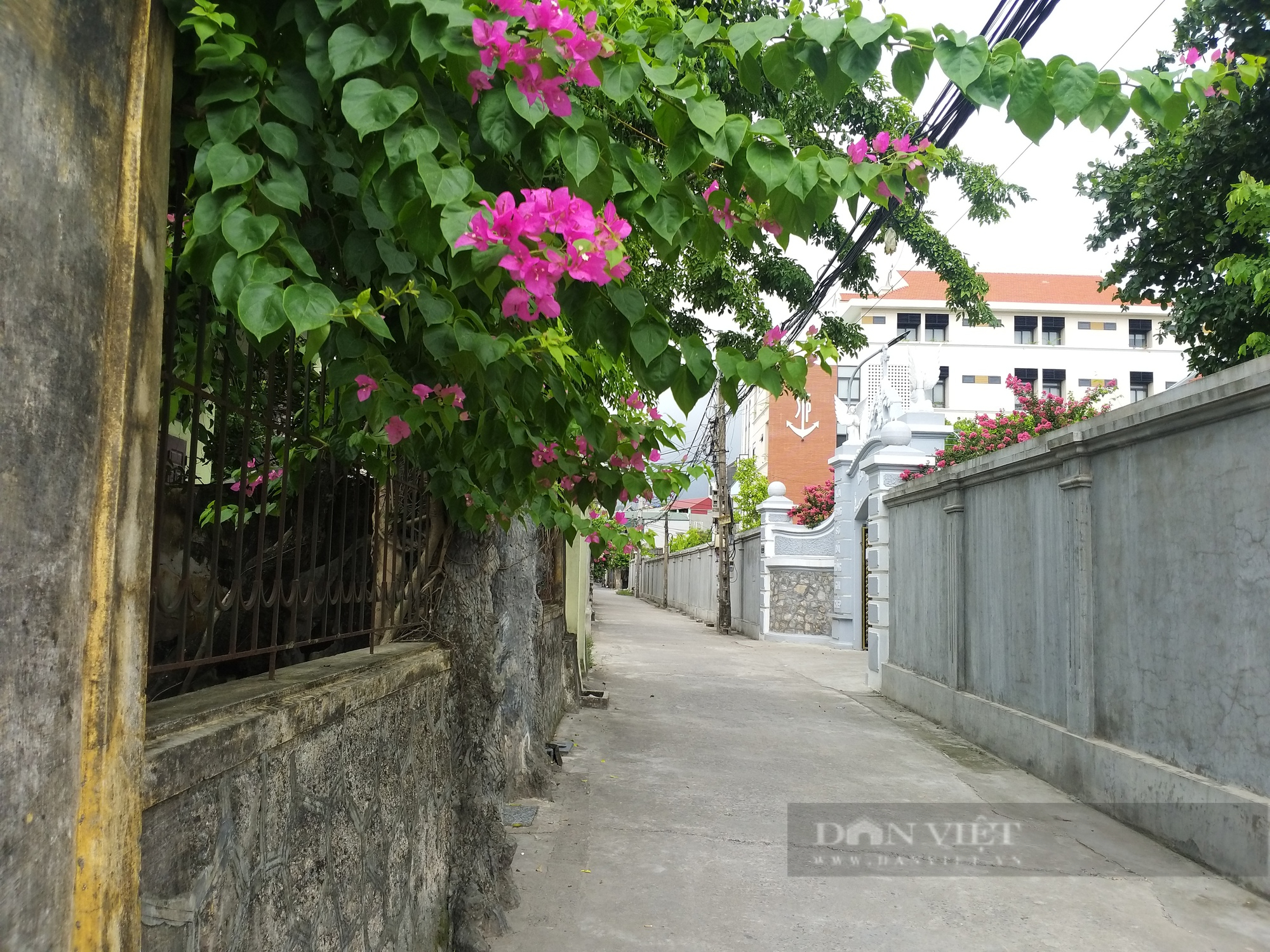 Vương cung thánh đường Sở Kiện (bài 2): Giáo dân sống tốt đời đẹp đạo, đoàn kết, thương yêu nhau - Ảnh 7.