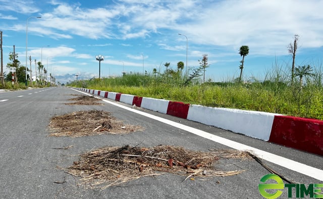 Quảng Ngãi: Hạng mục dành trồng hoa, cây cảnh làm nhếch nhác bộ mặt trung tâm huyện mới - Ảnh 1. Quảng Ngãi: Hạng mục dành trồng hoa, cây cảnh làm nhếch nhác bộ mặt trung tâm huyện mới - Ảnh 1.