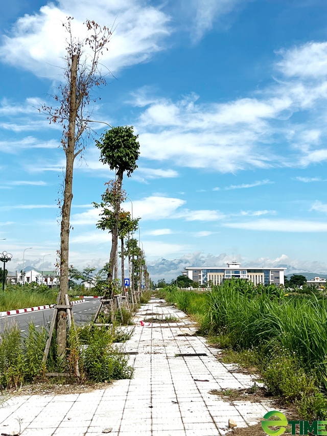 Quảng Ngãi: Hạng mục dành trồng hoa, cây cảnh làm nhếch nhác bộ mặt trung tâm huyện mới - Ảnh 5. Quảng Ngãi: Hạng mục dành trồng hoa, cây cảnh làm nhếch nhác bộ mặt trung tâm huyện mới - Ảnh 5.