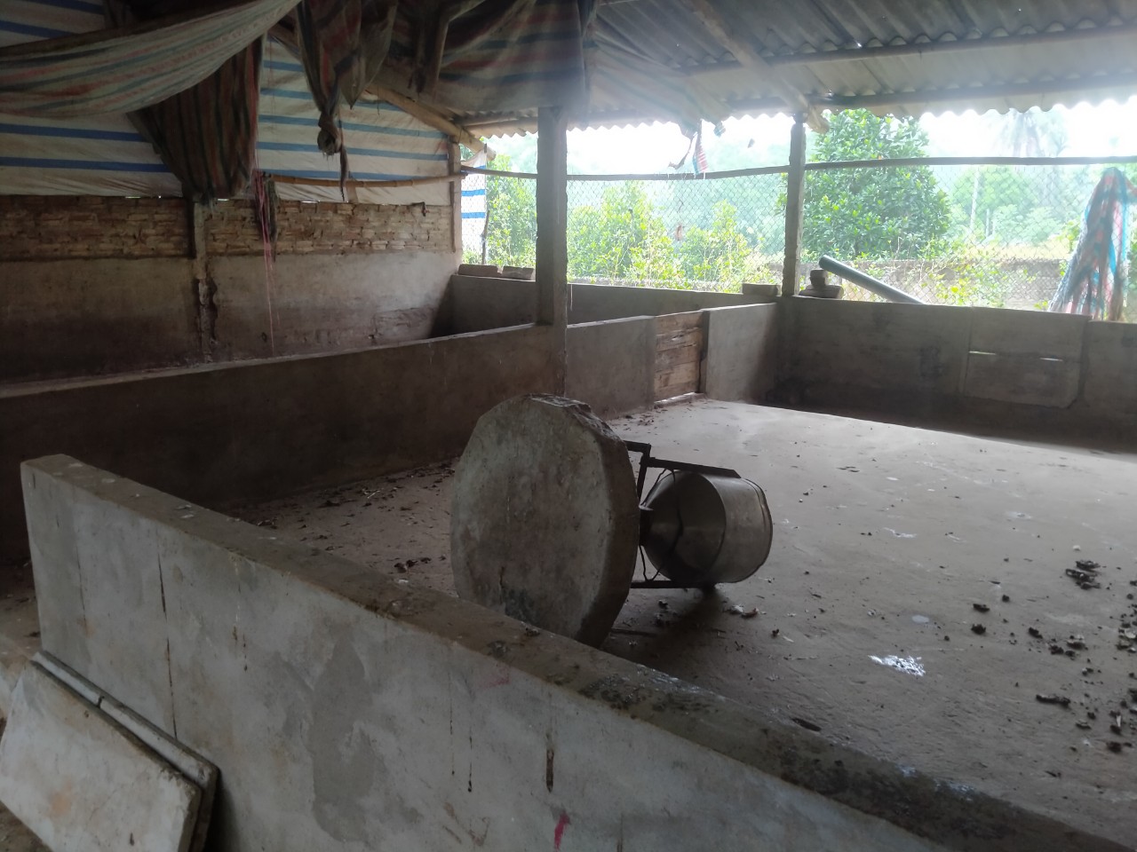 Người chăn nuôi bỏ chuồng vì gánh nặng chi phí: Canh bạc cuối năm (Bài 6) - Ảnh 1.