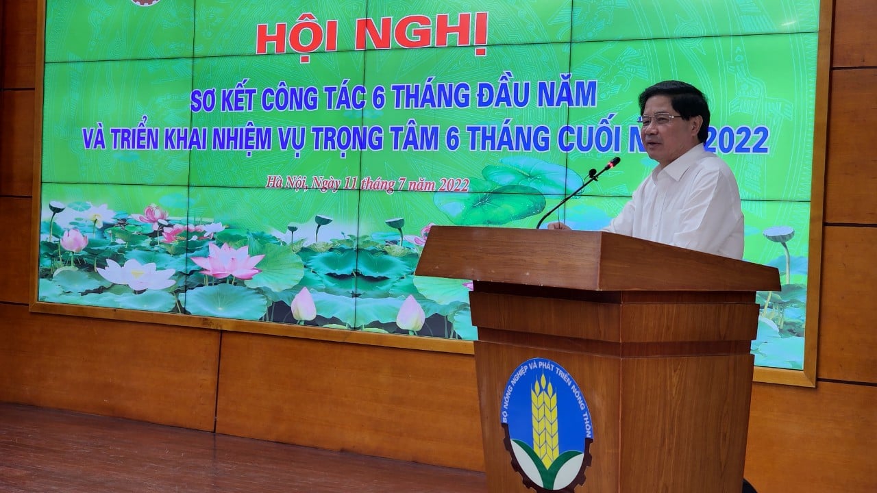 6 tháng đầu năm ngành trồng trọt xuất khẩu 11,3 tỷ USD, xuất khẩu gạo 1,7 tỷ USD - Ảnh 3.