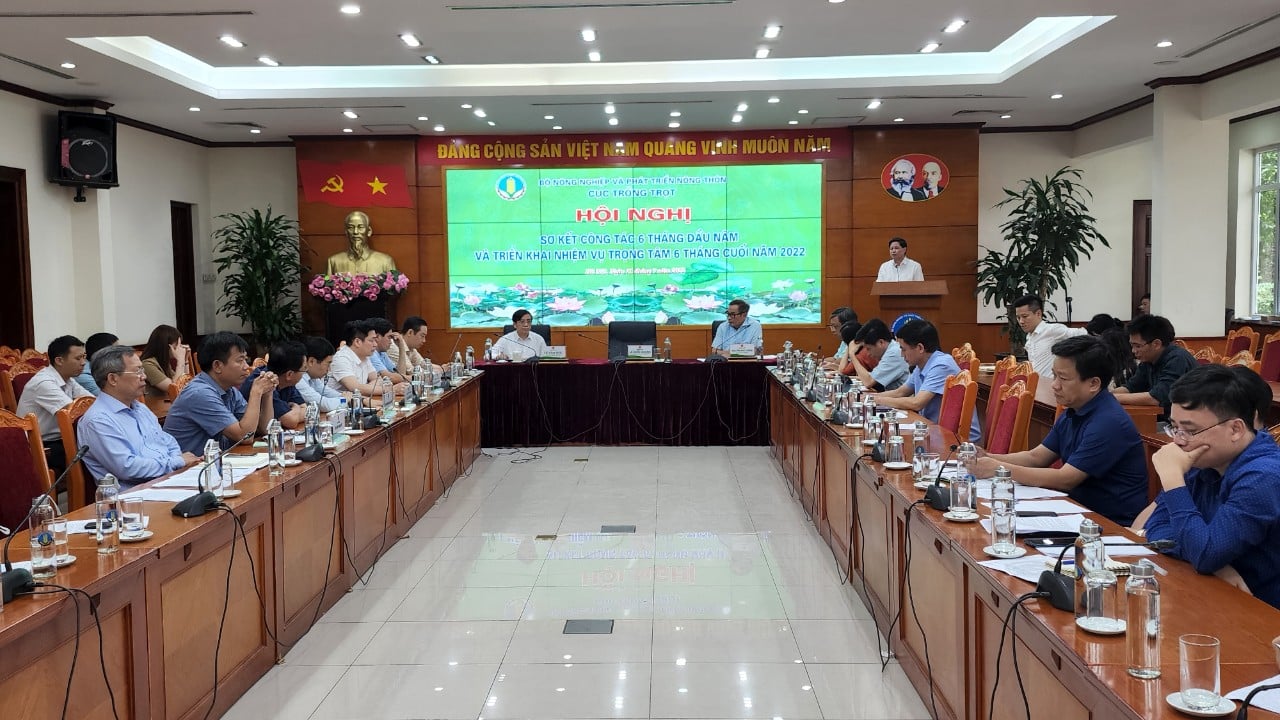6 tháng đầu năm ngành trồng trọt xuất khẩu 11,3 tỷ USD, xuất khẩu gạo 1,7 tỷ USD - Ảnh 1.