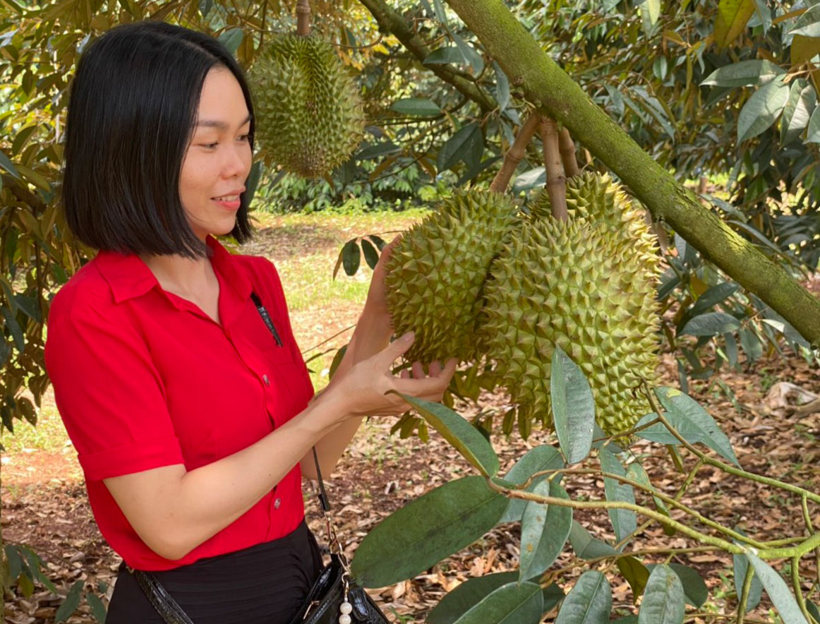 Làm du lịch sinh thái từ vườn cây ăn trái đặc sản gắn với di tích lịch sử ở Long An - Ảnh 3.