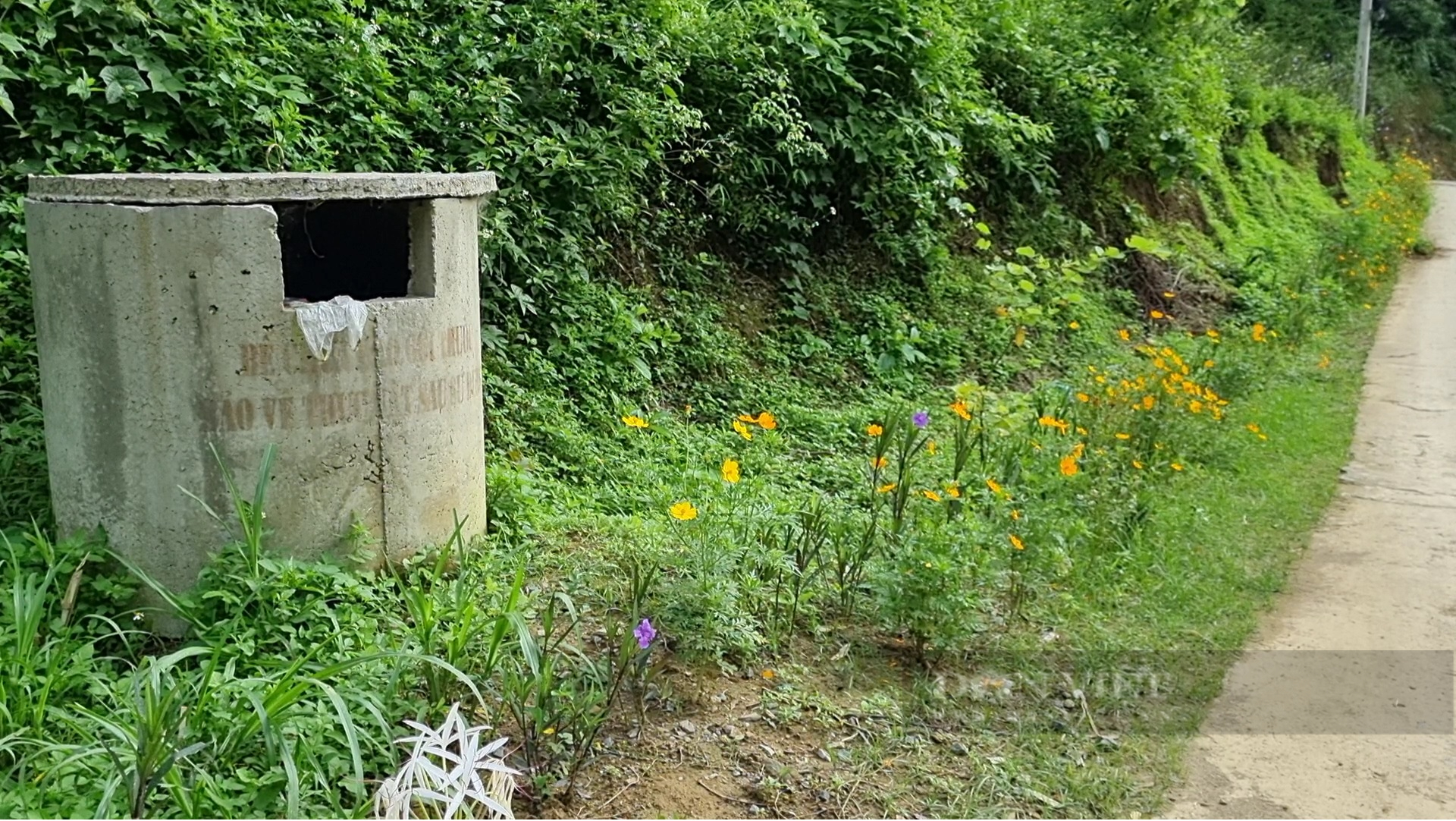 Mê mẩn con đường hoa nông thôn mới đẹp như tranh ở bản người Thái của tỉnh Sơn La - Ảnh 12.