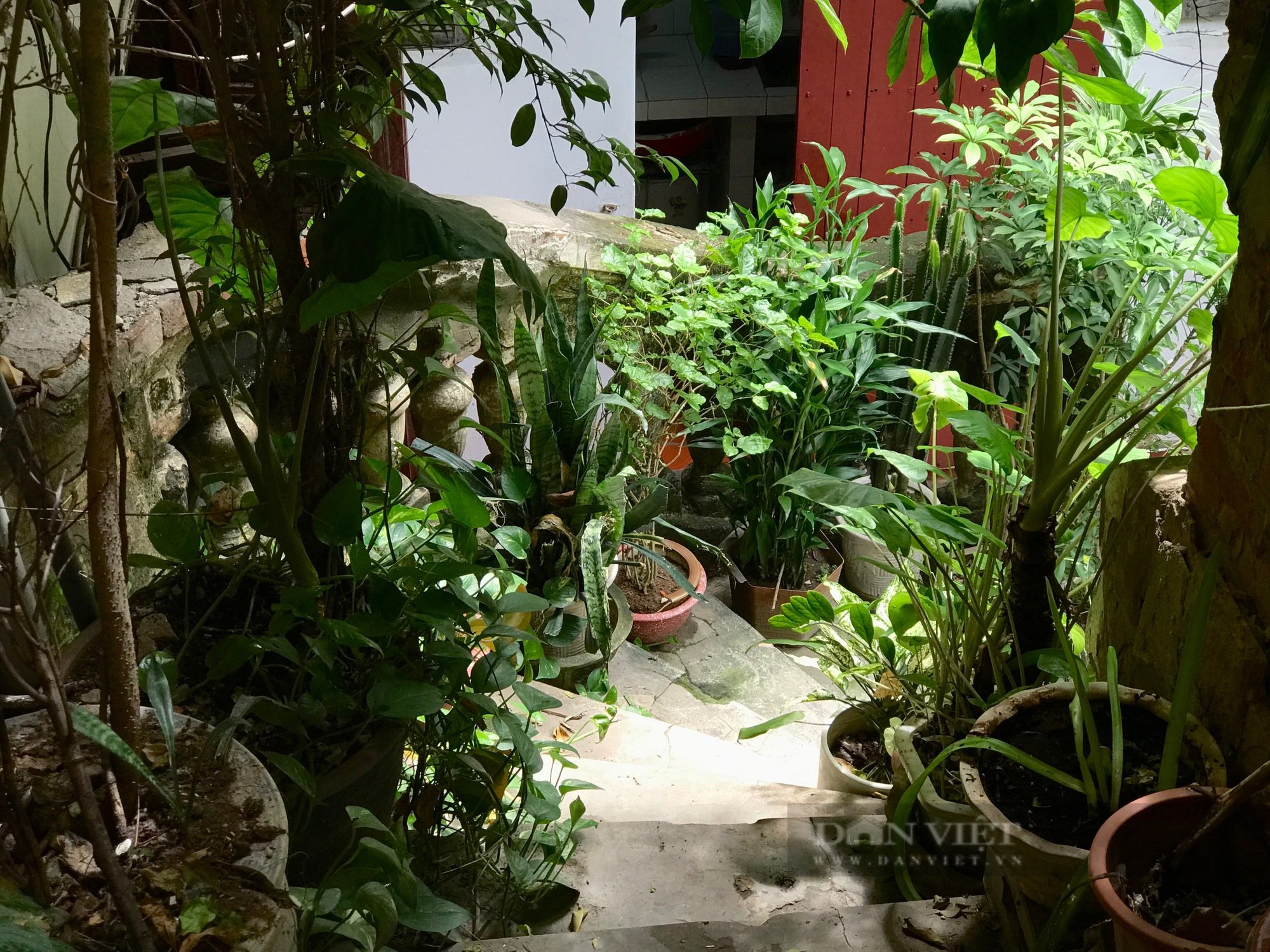 Điều ít biết bên trong căn biệt thự cổ trăm tuổi giữa “phố Tây” Hà Nội - Ảnh 5.