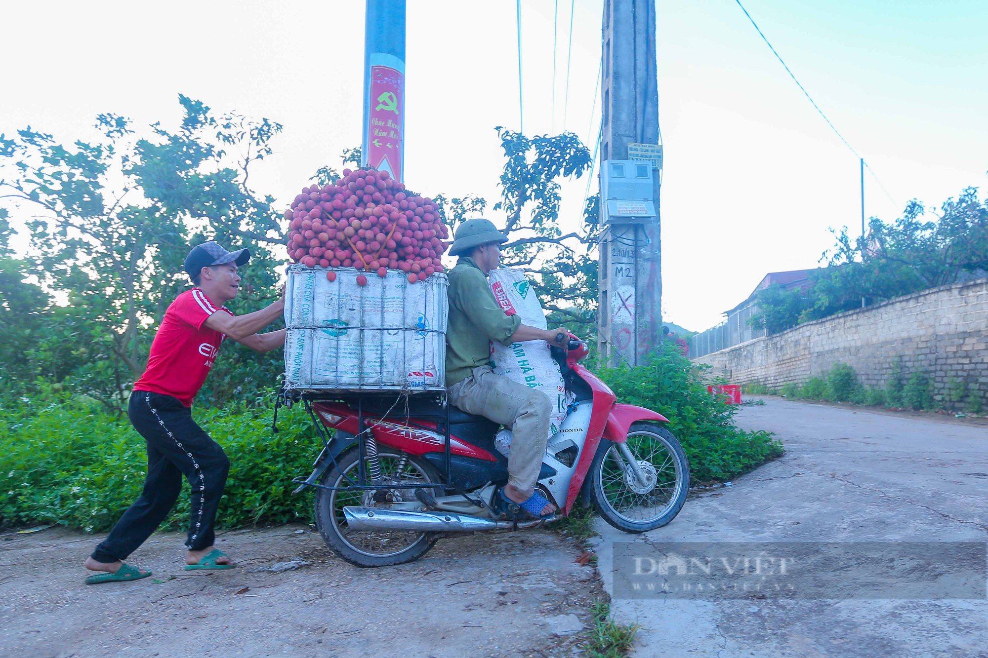 Nông dân trắng đêm &quot;chong đèn&quot; thu hoạch hàng trăm cân vải thiều mang đi bán - Ảnh 9.