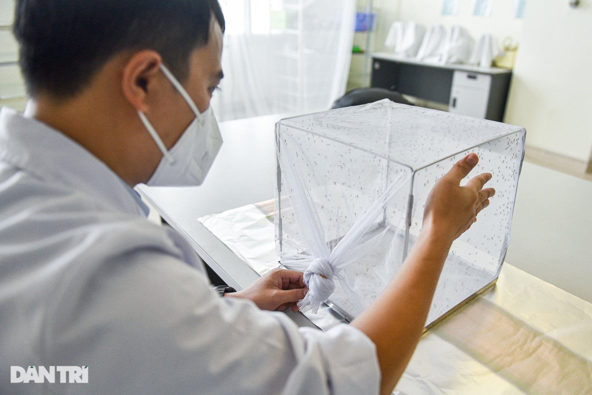 Lạ lùng nghề ngồi im cho muỗi đốt, hàng trăm con bâu đen kịt tay ở Hà Nội - Ảnh 9.