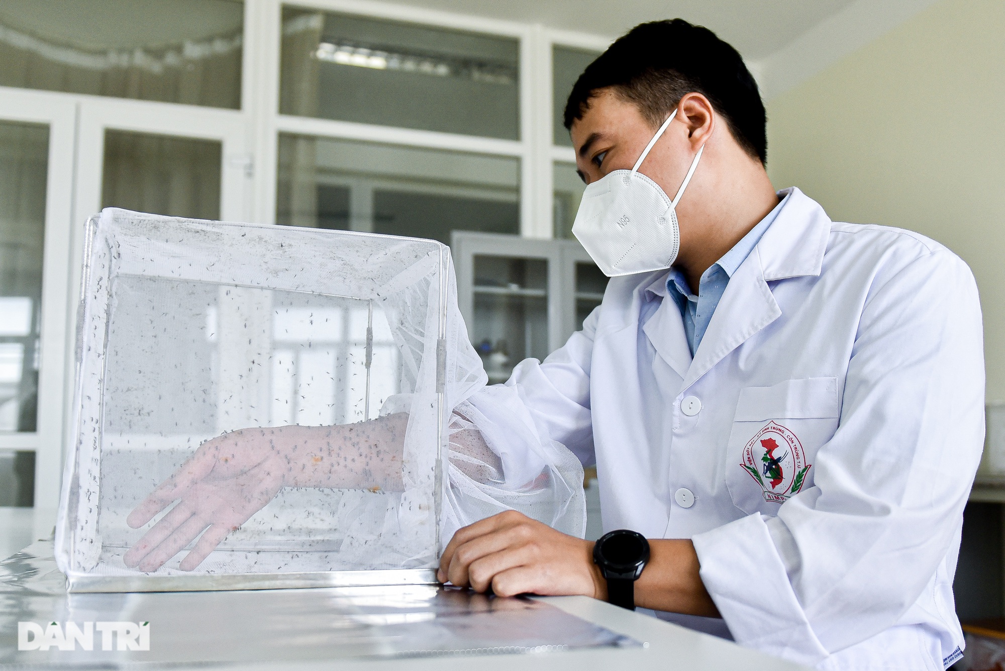 Lạ lùng nghề ngồi im cho muỗi đốt, hàng trăm con bâu đen kịt tay ở Hà Nội - Ảnh 1.