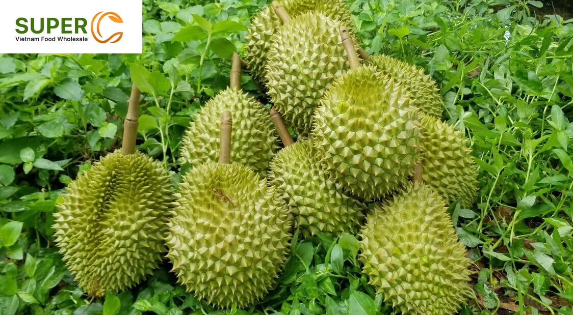 Hệ thống phân phối nông sản tiện lợi của Việt Nam lần đầu tiên có mặt tại Nhật Bản - Ảnh 1.