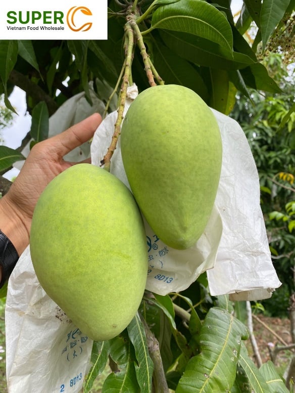 Hệ thống phân phối nông sản tiện lợi của Việt Nam lần đầu tiên có mặt tại Nhật Bản - Ảnh 2.