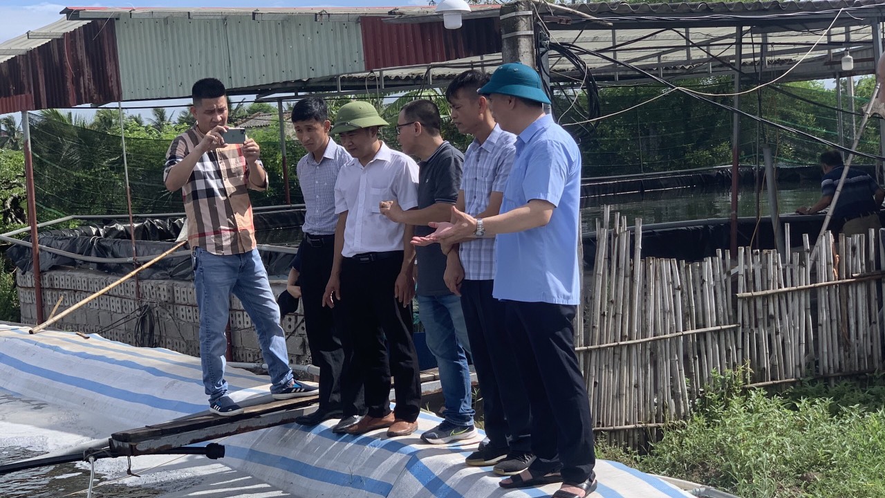 Hải Phòng: Hiệu quả từ việc ứng dụng chế phẩm sinh học trong nuôi tôm thẻ chân trắng - Ảnh 4.
