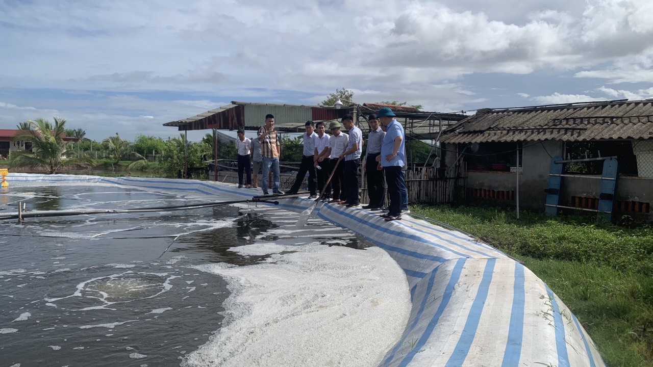 Hải Phòng: Hiệu quả từ việc ứng dụng chế phẩm sinh học trong nuôi tôm thẻ chân trắng - Ảnh 1.