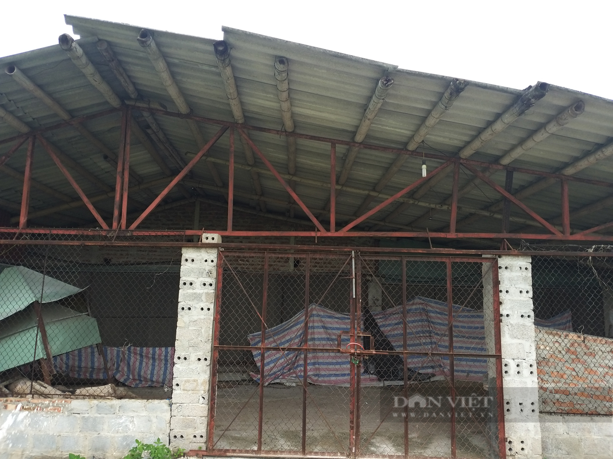 Người chăn nuôi bỏ chuồng vì gánh nặng chi phí: Doanh nghiệp ngoại thâu tóm thị trường (Bài 8) - Ảnh 2.