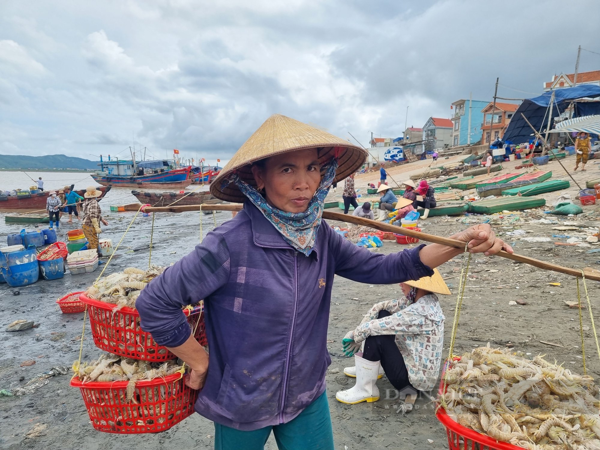 Thanh Hóa: Cận cảnh thu mua cá, tôm khi thuyền cập bến - Ảnh 8.