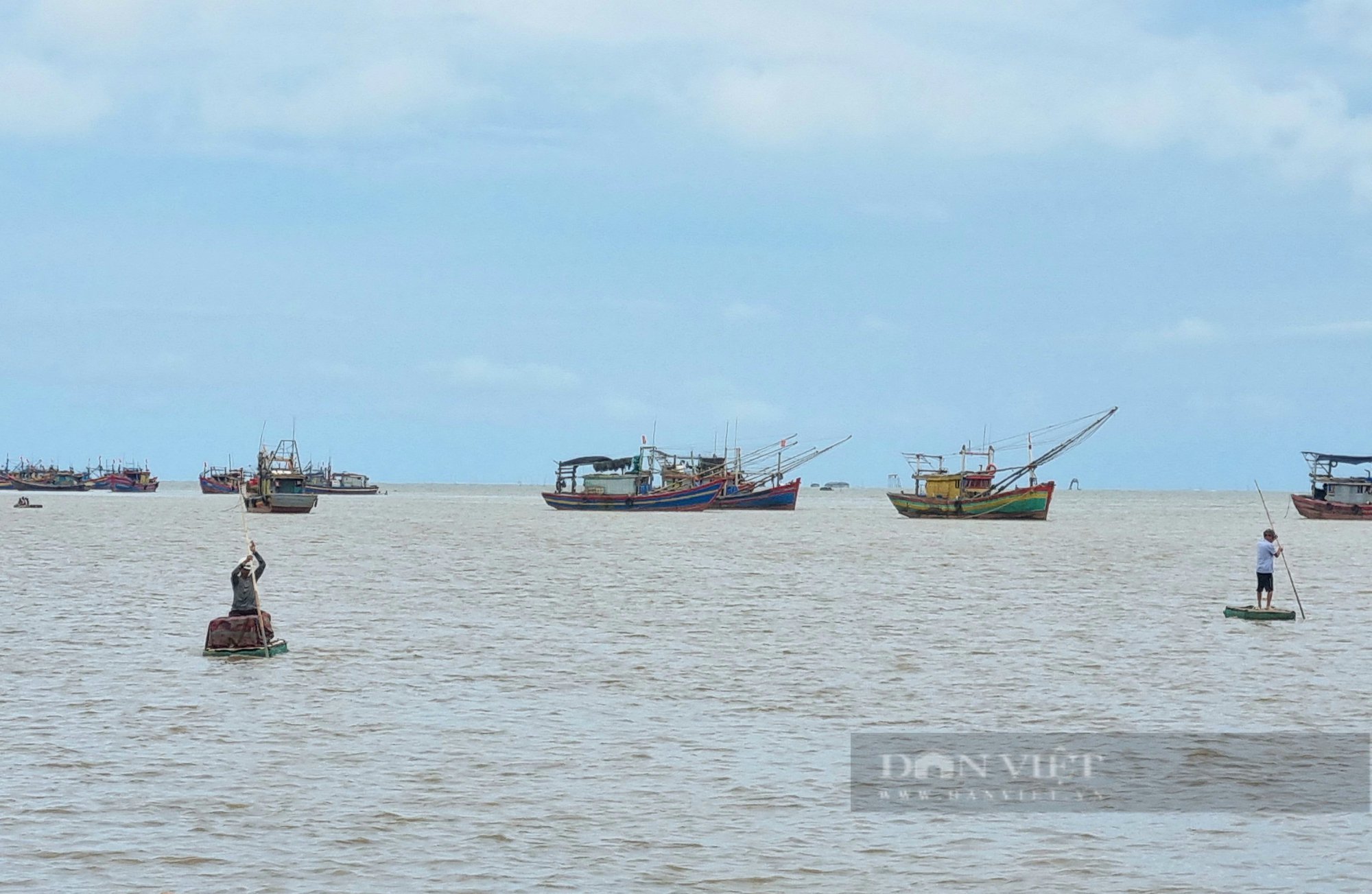 Thanh Hóa: Cận cảnh thu mua cá, tôm khi thuyền cập bến - Ảnh 2.