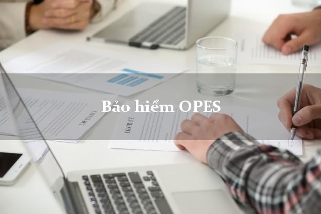 VPBank chi bao nhiêu tiền để thâu tóm công ty bảo hiểm OPES? - Ảnh 1. VPBank chi bao nhiêu tiền để thâu tóm công ty bảo hiểm OPES? - Ảnh 1.