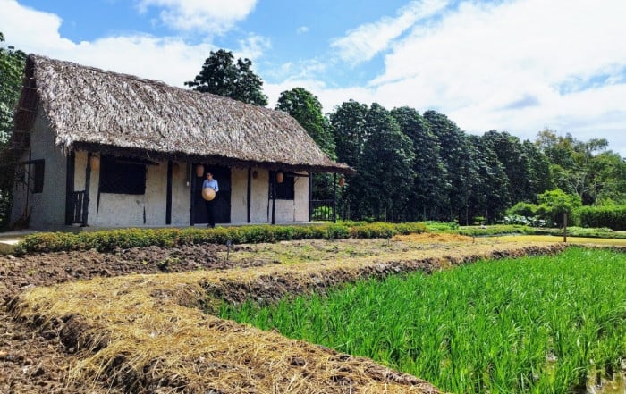 Du lịch nguyên sơ, nhà tranh vách đất hút hồn du khách đến miền Tây - Ảnh 2.