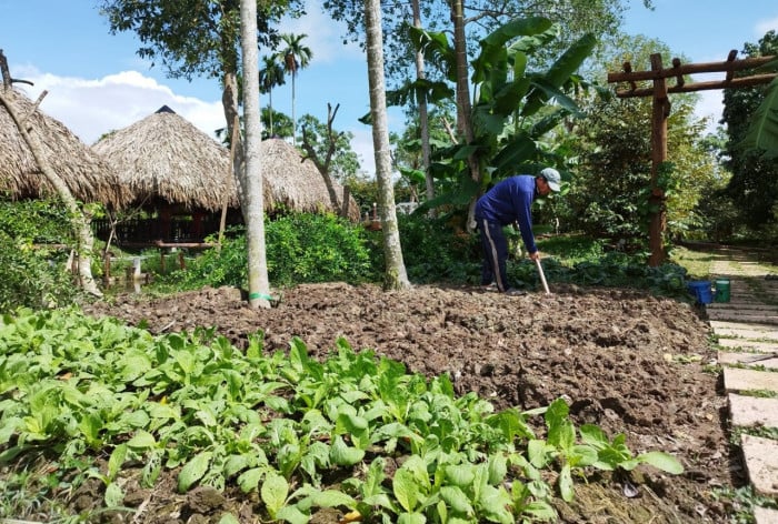 Du lịch nguyên sơ, nhà tranh vách đất hút hồn du khách đến miền Tây - Ảnh 6.