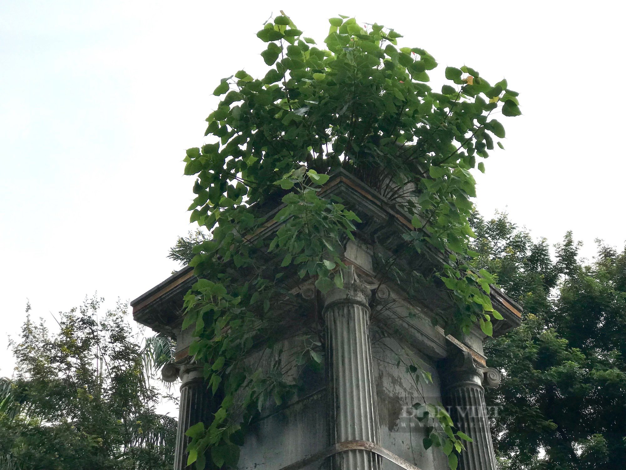 Kỳ bí lăng mộ trăm năm tuổi &quot;đeo đai sắt&quot; ở Vườn hoa con cóc Hà Nội  - Ảnh 8.