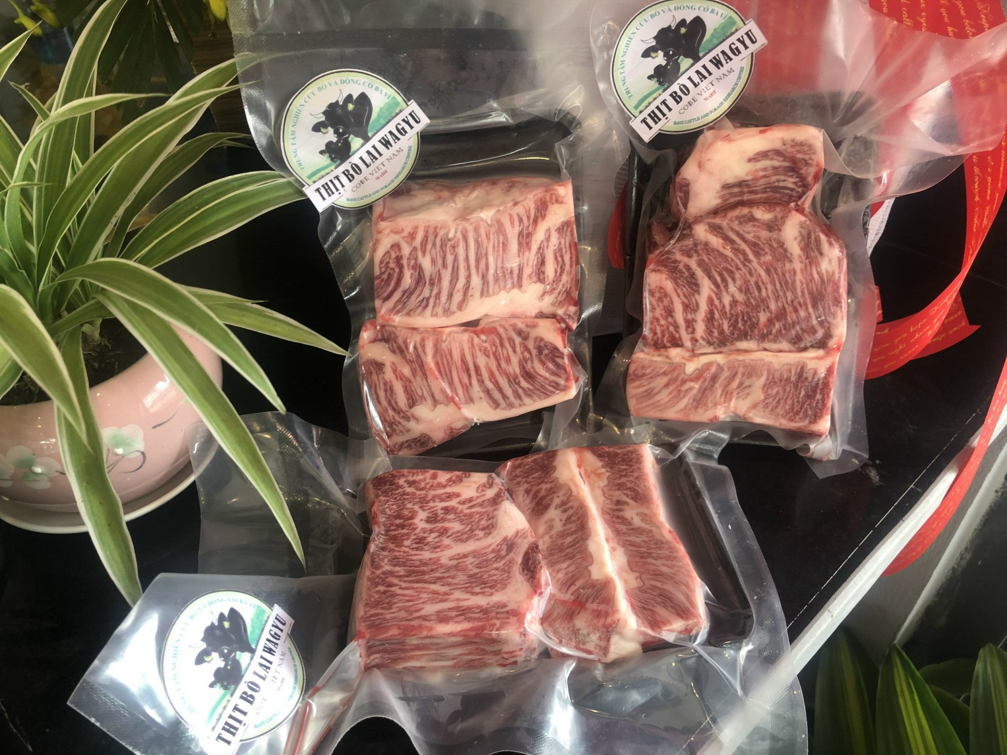 Hà Nội: Cho đàn bò Wagyu uống bia, massage, làm ra thứ thịt cao cấp dát vàng  - Ảnh 4.