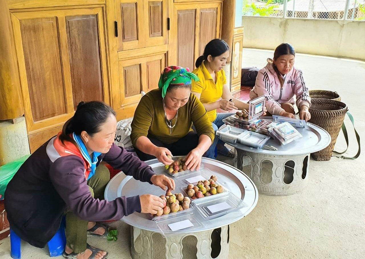 Hội Nông dân Nghệ An: Nông dân liên kết, hợp tác, quảng bá, giới thiệu sản phẩm, sản xuất nông sản an toàn  - Ảnh 2.