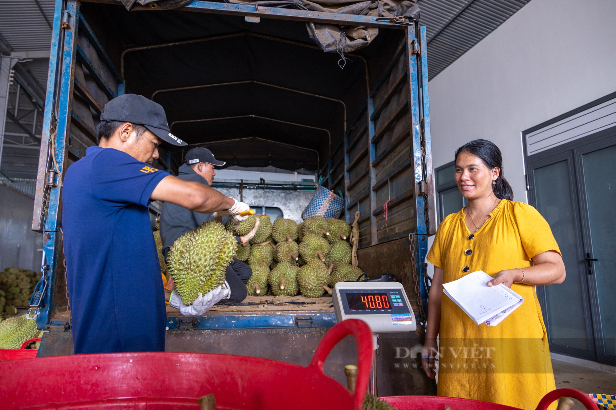 Làm thế nào để sầu riêng Việt Nam vươn ra biển lớn? - Ảnh 1.