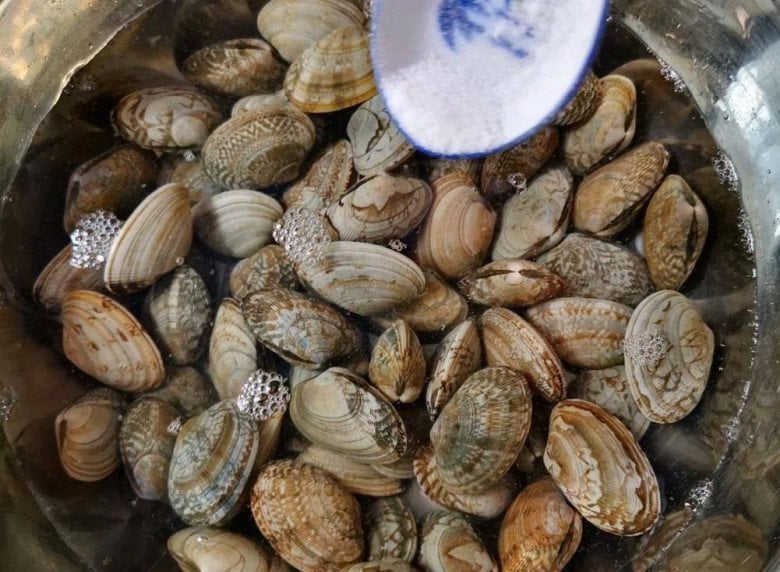Ngao mua về ngâm với nước này chỉ 10 phút là sạch không còn một hạt cát - Ảnh 1.