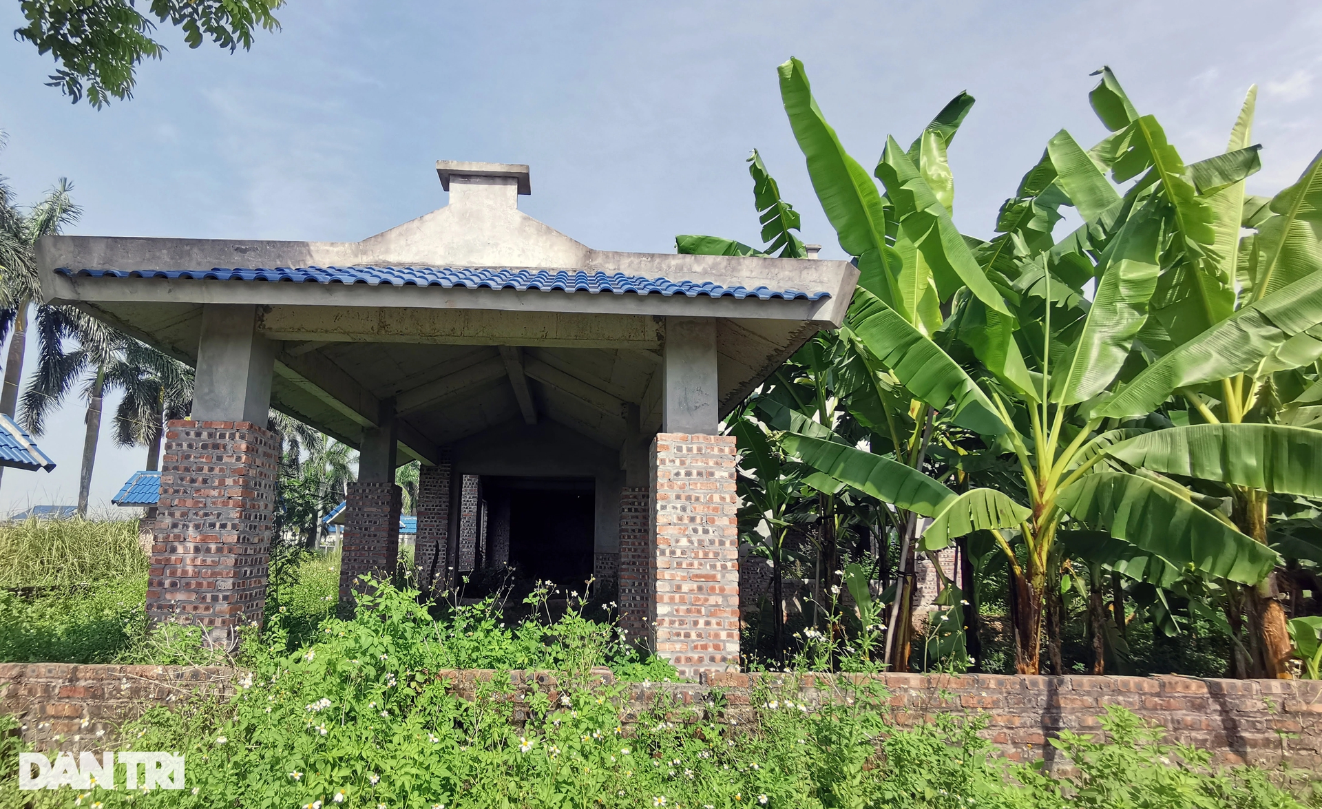 La liệt biệt thự bỏ hoang trong đô thị đầm Dạ Trạch - Ảnh 10.