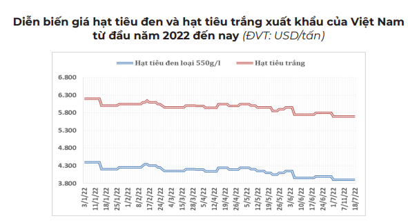 Hạt tiêu đã lấy lại được đà tăng giá? - Ảnh 2.